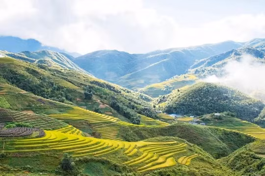 Tỉnh Điện Biên