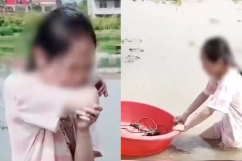 Người cha bắt cô con gái đào củ sen giữa trưa nắng gắt để dạy con về giá trị giáo dục (Ảnh: SCMP)