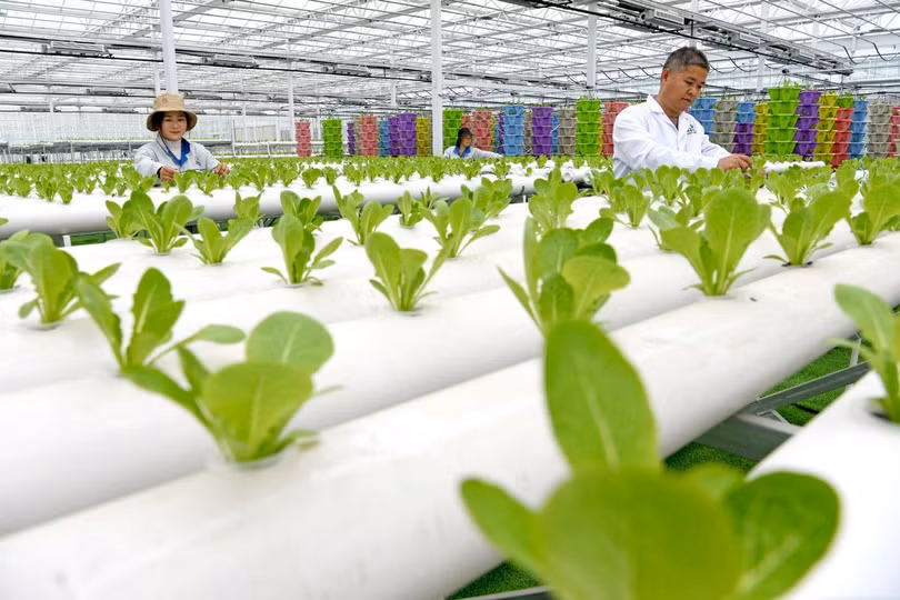 Chuyển đổi số đang được thúc đẩy mạnh mẽ ở vùng nông thôn Trung Quốc (Ảnh: People's Daily)