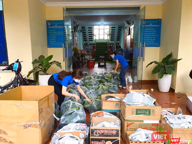 Những trái đu đủ xanh mới hái trong vườn của người dân Bình Phước trông rất tươi ngon gửi đến “tâm dịch” TP Hồ Chí Minh.