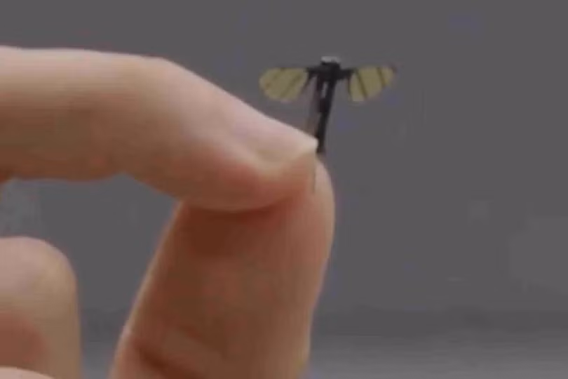 Ảnh chụp màn hình CCTV cho thấy một UAV cỡ con muỗi của Trung Quốc được phát triển tại Đại học Công nghệ Quốc phòng Quốc gia và phù hợp với các hoạt động quân sự bí mật. Ảnh: CCTV.