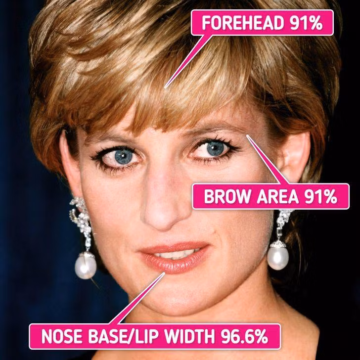 Ảnh: BrightSide