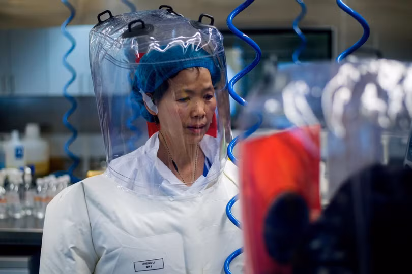 Thạch Chính Lệ bỏ ra nhiều năm nghiên cứu về virus corona trên loài dơi và được mệnh danh là "Bat Woman" (Ảnh: SCMP)