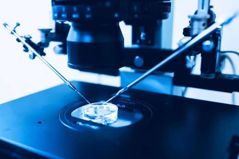 Cuộc đua tạo thiên tài ở Thung lũng Silicon Giới siêu giàu sàng lọc IQ cho con từ trong bụng mẹ 4.jpg