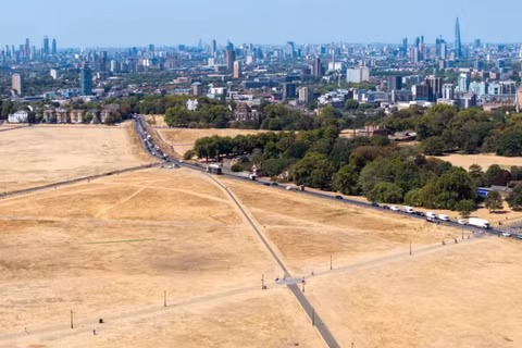 Hình ảnh từ trên cao cho thấy bãi cỏ bị héo úa do nắng nóng ở London, Anh, vào ngày 11/8. Ảnh: Getty.