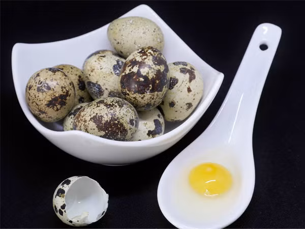 Trứng cút mang đến nhiều lợi ích cho sức khỏe. Ảnh: Boldsky Trứng cút mang đến nhiều lợi ích cho sức khỏe. Ảnh: Boldsky