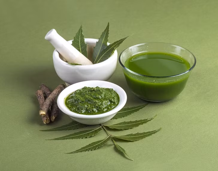 Các dưỡng chất trong lá neem có tác dụng kháng nấm, kháng khuẩn nên thường được dùng để trị gàu, ngứa da. Ảnh: Brightside Các dưỡng chất trong lá neem có tác dụng kháng nấm, kháng khuẩn nên thường được dùng để trị gàu, ngứa da. Ảnh: Brightside