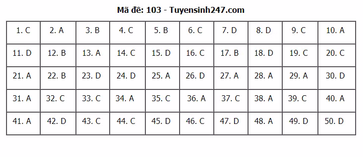 Đáp án tham khảo đề thi tốt nghiệp THPT năm 2020 môn Toán mã đề 103. Nguồn: TTHN