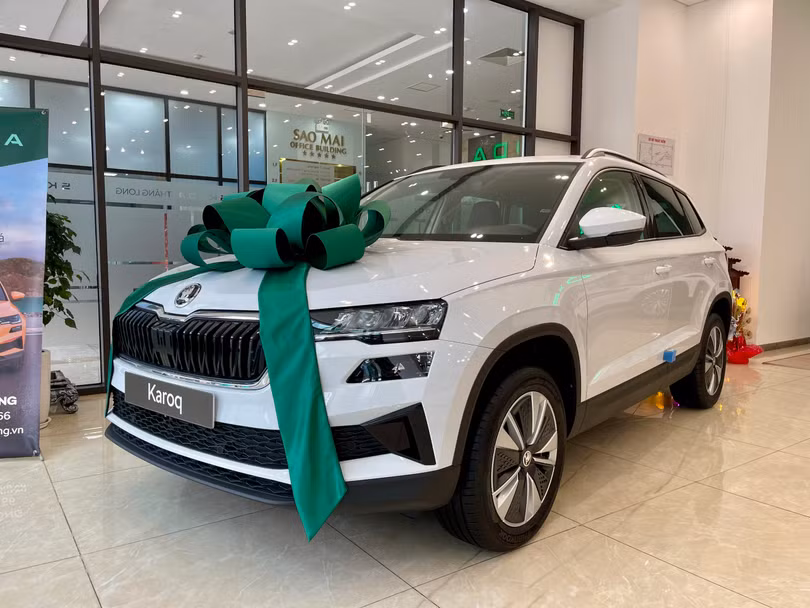 Skoda trắng.jpg