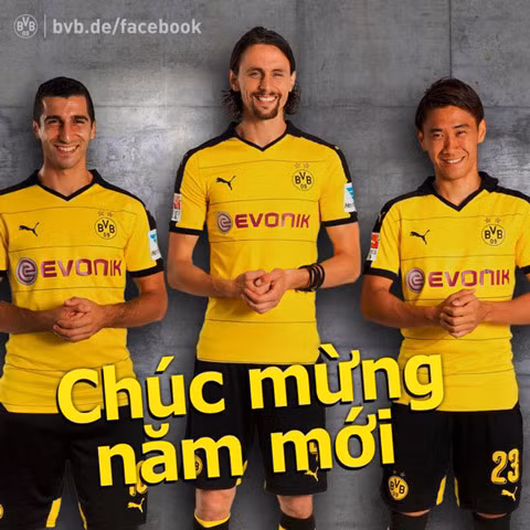 "Ông lớn" trời Âu thi nhau chúc Tết fan hâm mộ Việt ảnh 2
