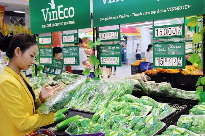 VinEco.