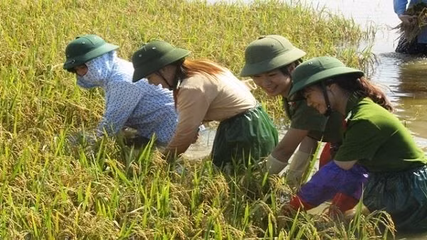 “Khát vọng Việt Nam” và “tụt hậu không còn là nguy cơ” ảnh 1 “Khát vọng Việt Nam” và “tụt hậu không còn là nguy cơ”