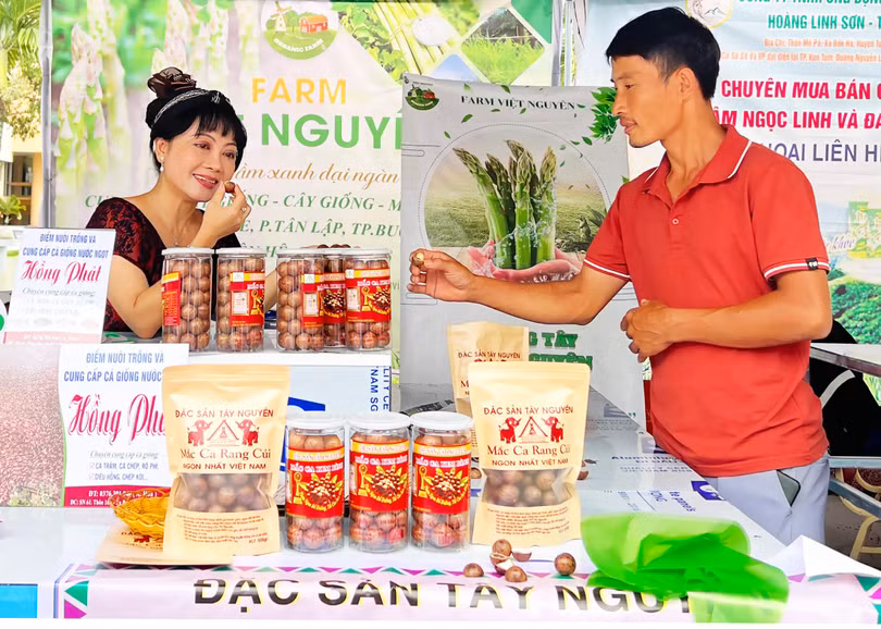 Nhiều nhà sản xuất khác tìm cách rang sấy phù hợp với thị trường nội địa Nhiều nhà sản xuất khác tìm cách rang sấy phù hợp với thị trường nội địa