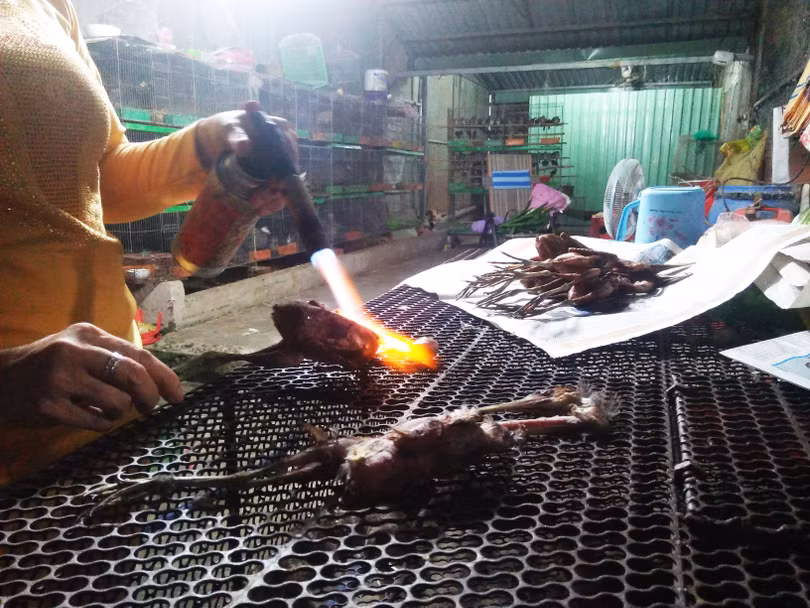 Hy vọng hành vi bạo tàn này sẽ không còn tái diễn tại Thạnh Hóa
