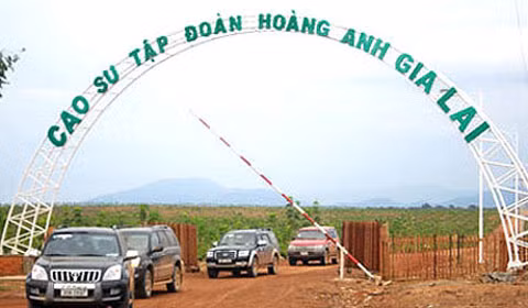 Ảnh minh họa. (Nguồn: Internet)