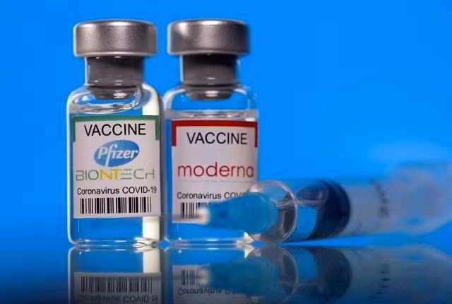 Vaccine Pfizer và Moderna. Ảnh: Reuters Vaccine Pfizer và Moderna. Ảnh: Reuters
