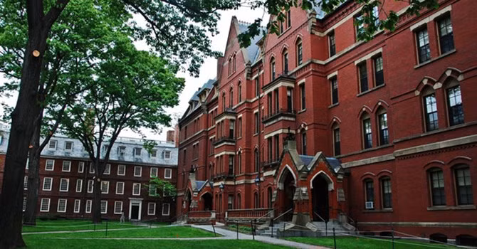 “Harvard là nơi người ta đeo lên mình những khuôn mặt giả tạo chính đáng”