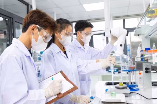 StartupBlink nhận định Việt Nam và Thái Lan có mức tăng trưởng nổi bật của khu vực về khởi nghiệp sáng tạo.