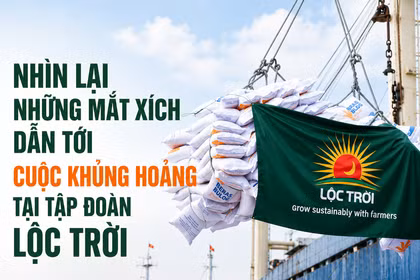 Những nguyên nhân dẫn tới cuộc khủng hoảng tại Tập đoàn Lộc Trời