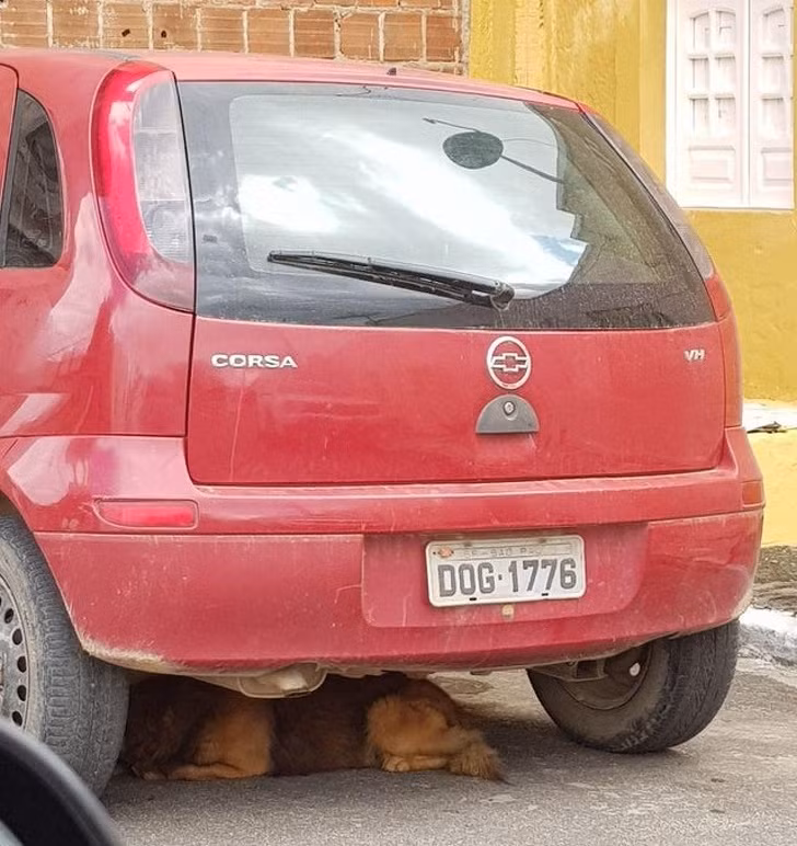 Ảnh: BrightSide Ảnh: BrightSide