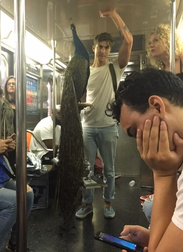 Ảnh: BrightSide Ảnh: BrightSide