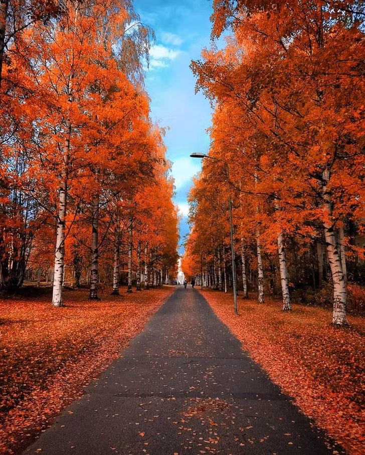 Ảnh: BrightSide Ảnh: BrightSide
