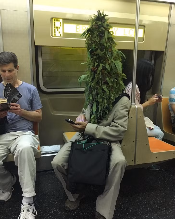 Ảnh: BrightSide Ảnh: BrightSide