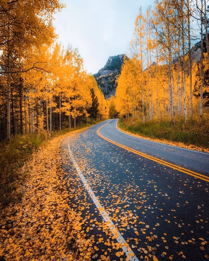 Ảnh: BrightSide Ảnh: BrightSide