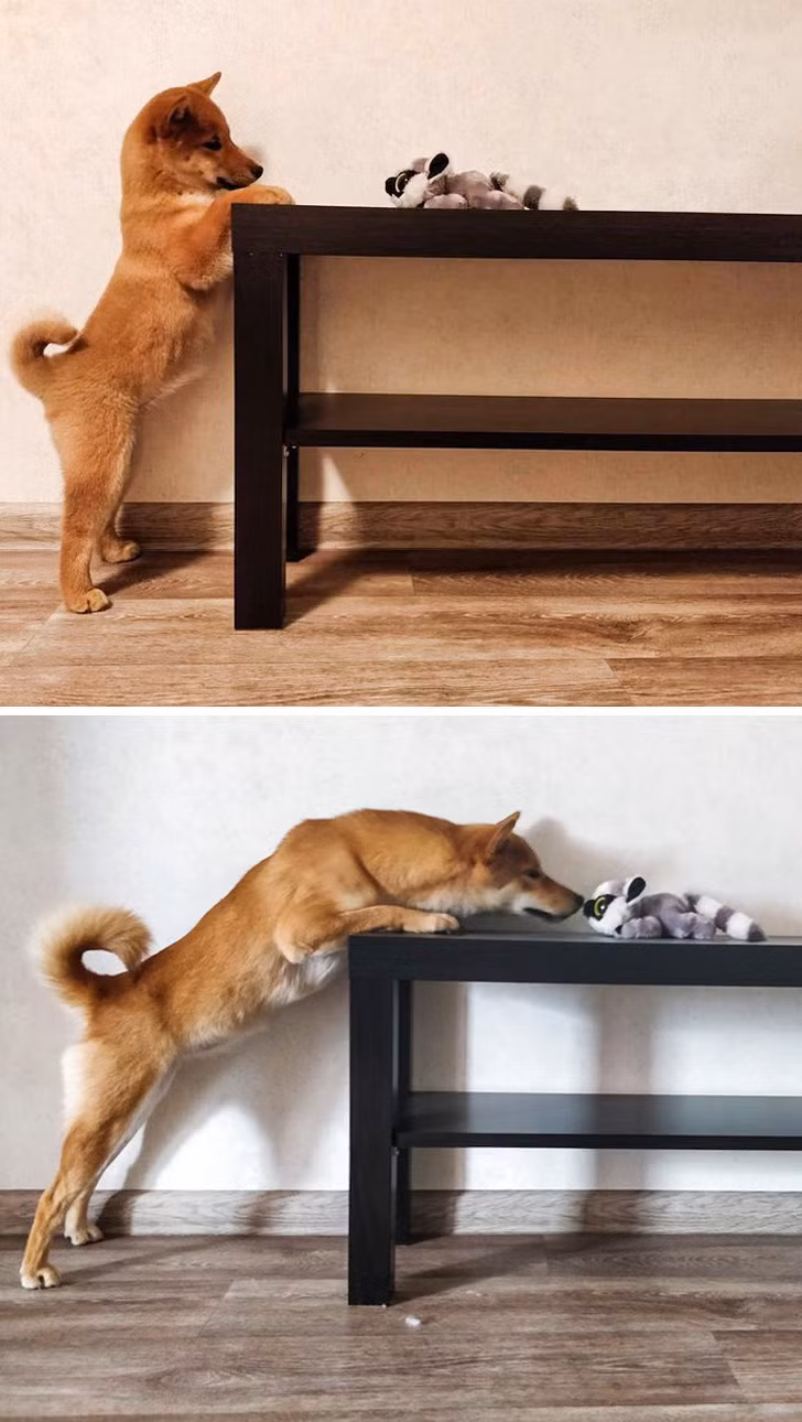 Ảnh: BrightSide Ảnh: BrightSide