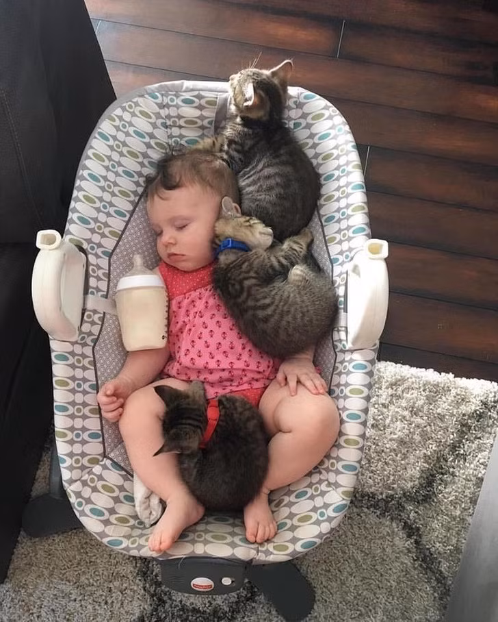 Ảnh: BrightSide Ảnh: BrightSide