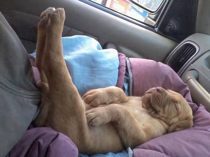 Ảnh: BrightSide Ảnh: BrightSide