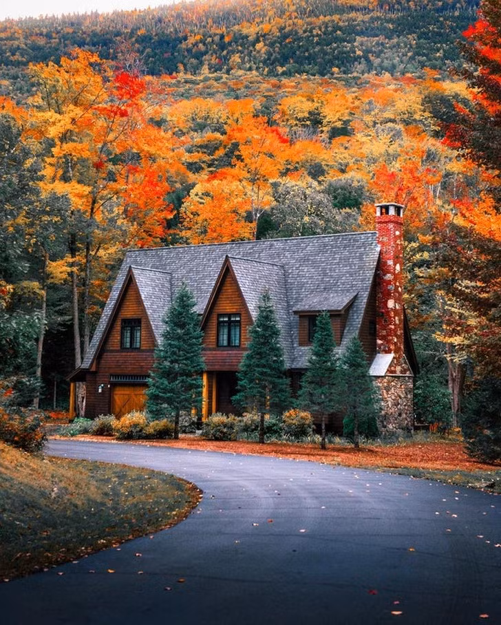 Ảnh: BrightSide Ảnh: BrightSide