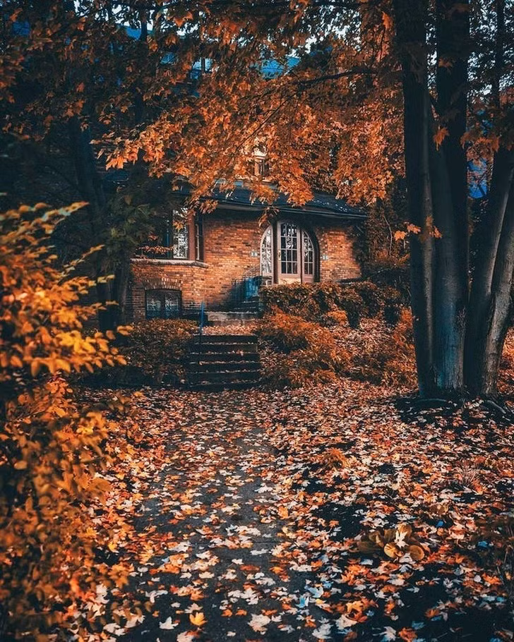 Ảnh: BrightSide Ảnh: BrightSide
