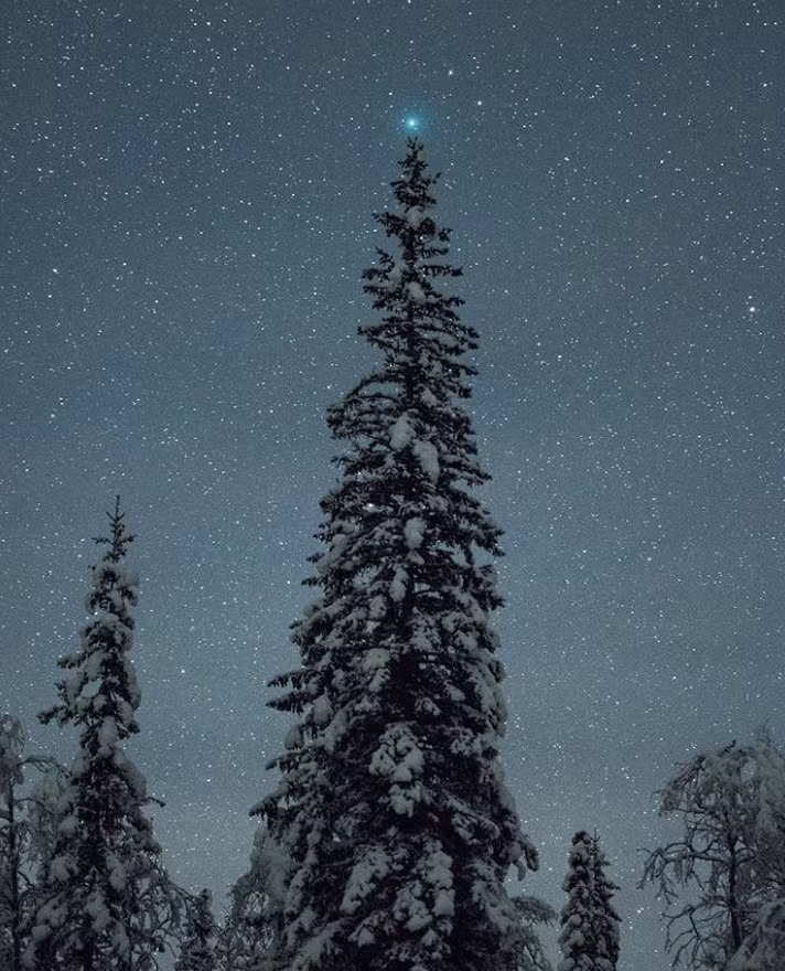 Ảnh: BrightSide Ảnh: BrightSide