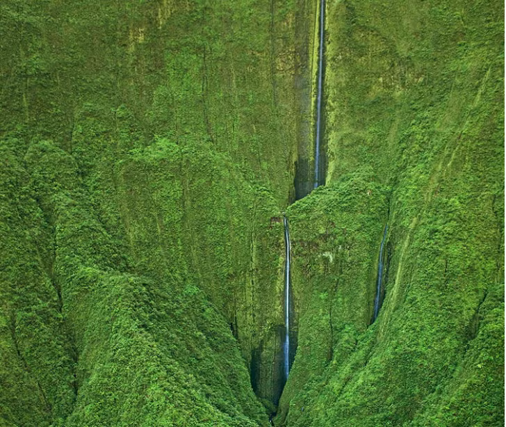 Ảnh: BrightSide Ảnh: BrightSide