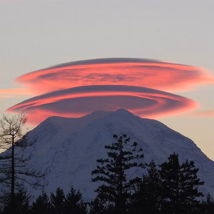 Ảnh: BrightSide Ảnh: BrightSide