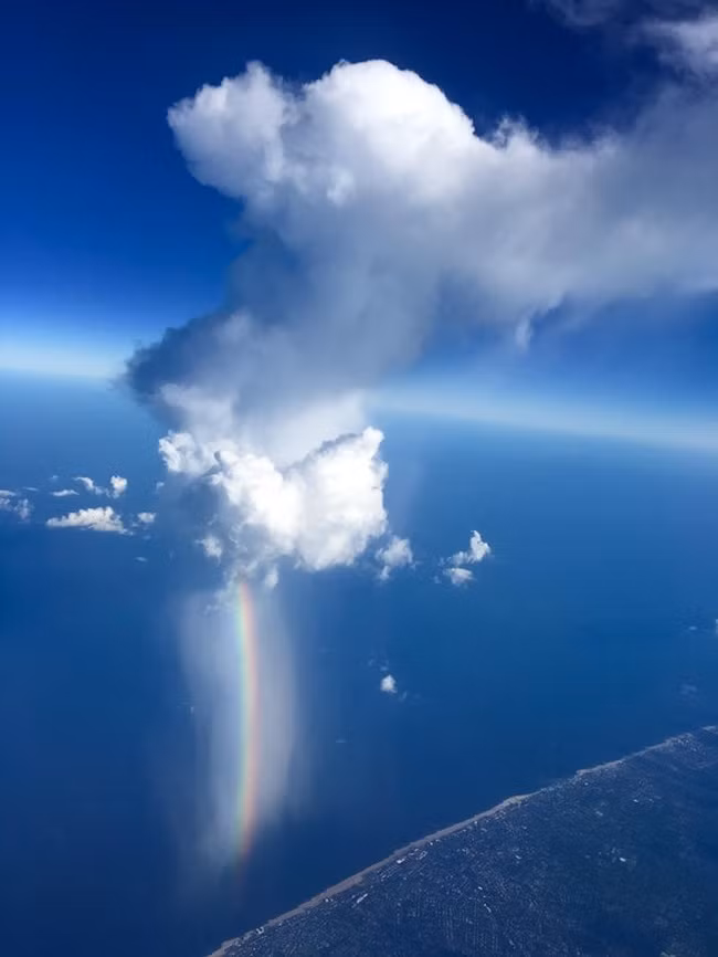 Ảnh: BrightSide Ảnh: BrightSide