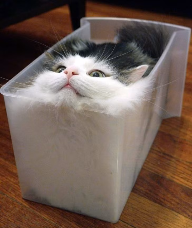 Ảnh: BrightSide Ảnh: BrightSide