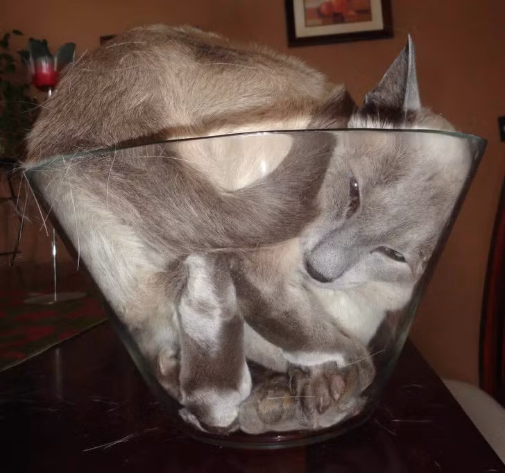 Ảnh: BrightSide Ảnh: BrightSide