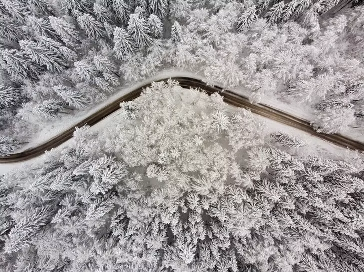 Ảnh: BrightSide Ảnh: BrightSide