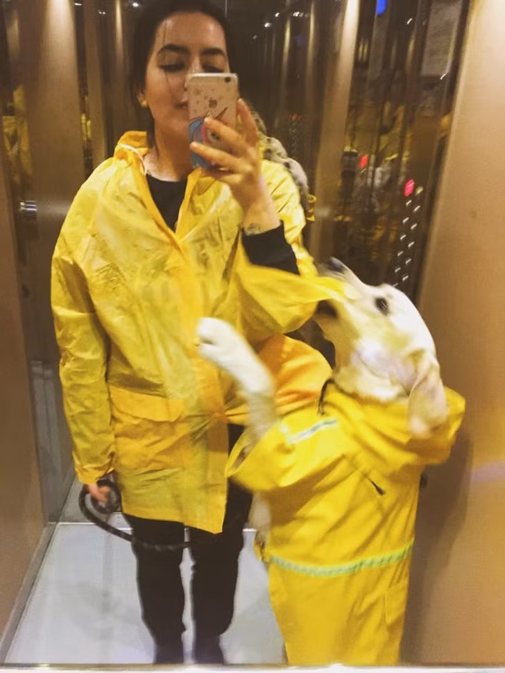 Ảnh: BrightSide Ảnh: BrightSide