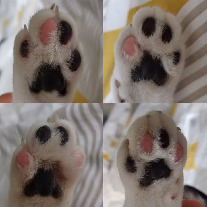 Ảnh: BrightSide Ảnh: BrightSide