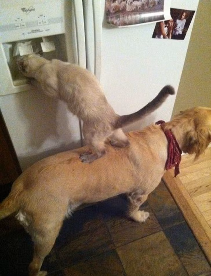 Ảnh: BrightSide Ảnh: BrightSide