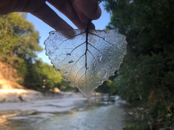 Ảnh: BrightSide