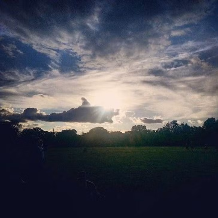 Ảnh: BrightSide