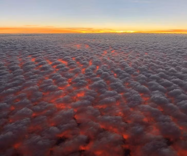 Ảnh: BrightSide Ảnh: BrightSide