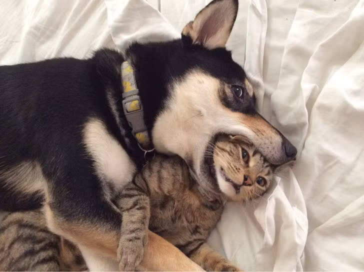 Ảnh: BrightSide Ảnh: BrightSide