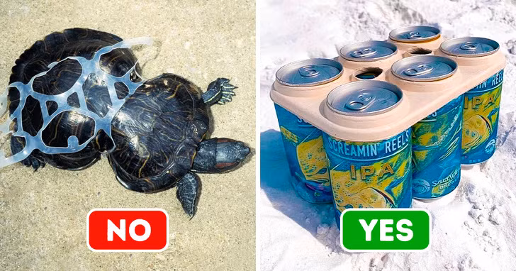 Ảnh: BrightSide Ảnh: BrightSide