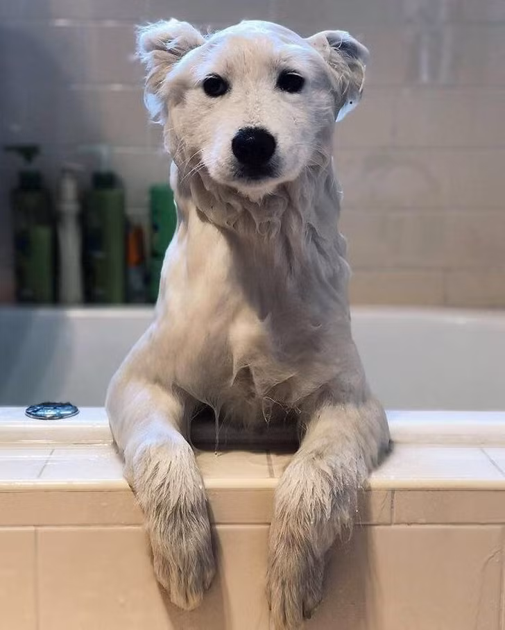 Ảnh: BrightSide Ảnh: BrightSide