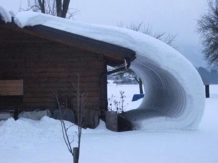 Ảnh: BrightSide Ảnh: BrightSide